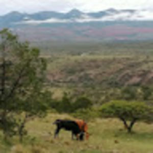 Meet your Posher, Mayra